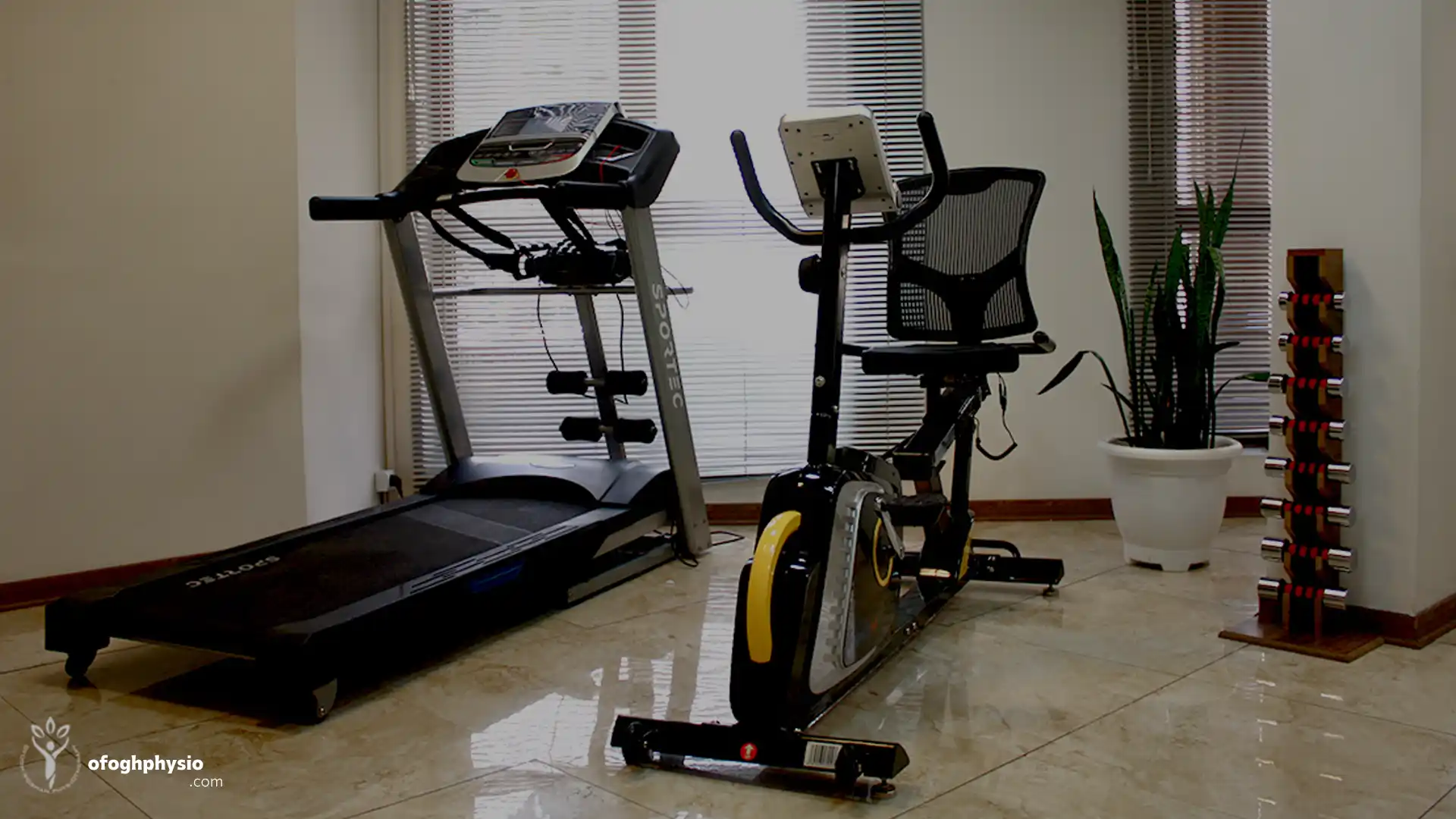 محیط کار فیزیوتراپی افق روشن در سعادت آباد تهران